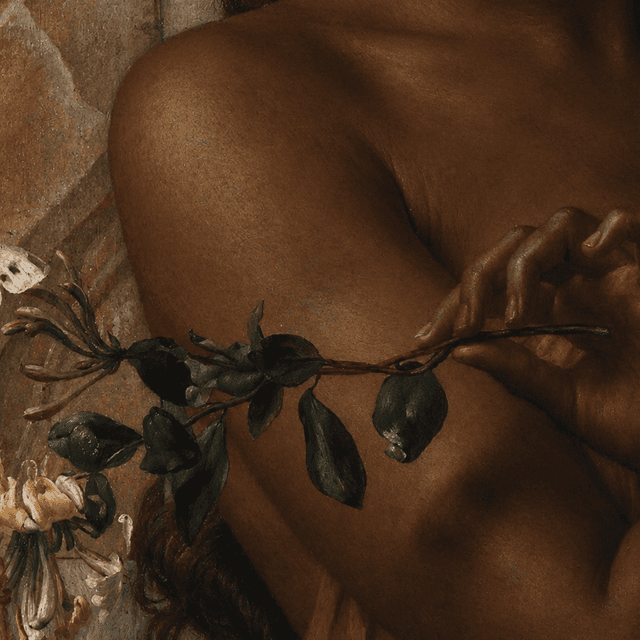 Underarm - Package of 3 at Sugar & Sage Waxing Co. in Berkley, MI