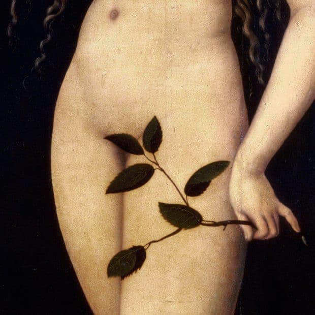 Brazilian - 🍑 Package of 6 at Sugar & Sage Waxing Co. in Berkley, MI